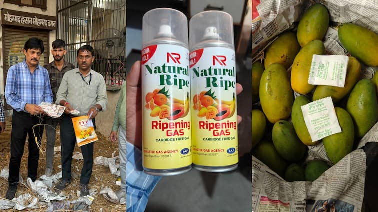 खतरनाक रसायनों से पकाए जा रहे आम और अन्य फल, अधिकारियों ने जयपुर फल मंडी में की छापेमारी