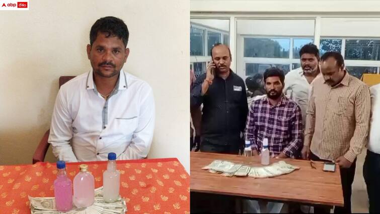 telangana ACB raids and caught three officers who take bribe in nalgonda and khammam district Telangana News: రాష్ట్రంలో ఒకేరోజు ముగ్గురు ఏసీబీకి చిక్కారు - రెడ్ హ్యాండెడ్ గా పట్టుకున్న అధికారులు