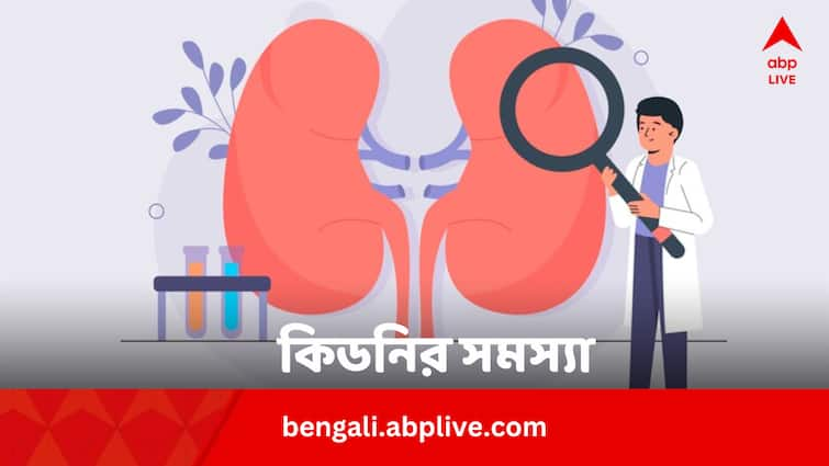 Kidney Disease For High Blood Pressure Cause Signs Prevention In Bengali