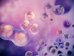 Hormones: હોર્મોનલ ઇમ્બેલેન્સની સમસ્યામાં આ ફૂડને ડાયટમાં કરો સામેલ, હોર્મોન્સ બેલેન્સમાં મળશે મદદ