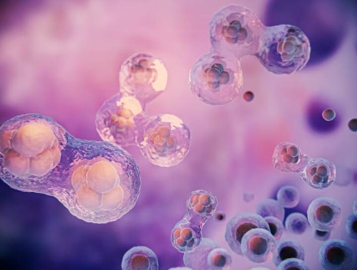 Hormone sbalance:સ્વસ્થ શરીર માટે હોર્મોન્સ સંતુલન પણ એટલું જ જરૂરી છે. જો આપ હોર્મોન્સ અસંતુલન સામે ઝઝુમી રહ્યાં હો તો તે આપના ડાયટમાં પોષક તત્વની કમીને દર્શાવે છે.