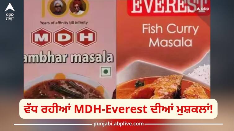 Nepal Bans Indian Spice: Increasing MDH-Everest difficulties! Now Nepal also imposed a ban on spices Nepal Bans Indian Spice: ਵੱਧ ਰਹੀਆਂ MDH-Everest ਦੀਆਂ ਮੁਸ਼ਕਲਾਂ! ਹੁਣ ਨੇਪਾਲ ਨੇ ਵੀ ਮਸਾਲਿਆਂ 'ਤੇ ਲਗਾਇਆ ਬੈਨ