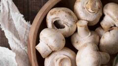 शरीर में है विटामिन डी की कमी तो इस तरीके से खाएं मशरूम, होंगे गजब के फायदे