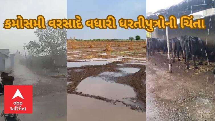 Unseasonal rain  Where did unseasonal rain fall for the fourth consecutive day in the state including Amreli Unseasonal Rain: અમરેલી સહિત રાજ્યમાં સતત ચોથા દિવસે ક્યાં પડ્યો કમોસમી વરસાદ? જગતનો તાત બન્યો ચિંતિત, જાણો