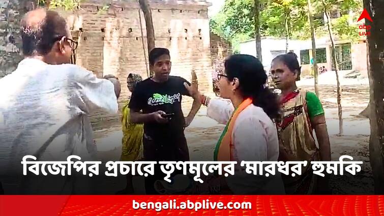 Lok Sabha Election 2024 Campaign TMC threats bjp allegation in north 24 paragana Lok Sabha Election: 'এলাকা ছেড়ে না গেলে...', বিজেপিকে হুমকি তৃণমূলের, ভাইরাল সেই ভিডিও