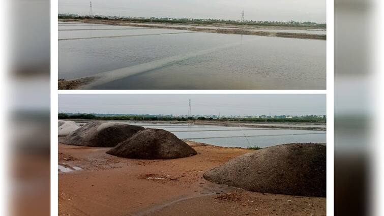Thoothukudi news rain will affect salt production Salt workers suffer - TNN கோடை மழையால் உப்பு உற்பத்தி பாதிப்பு - உப்பள தொழிலாளர்கள் வேதனை