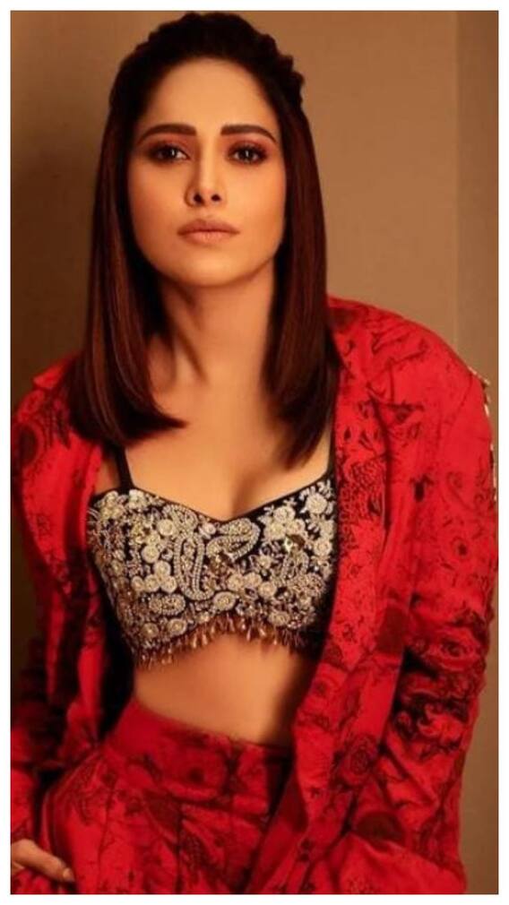 जानिए कितने करोड़ों की संपत्ति को मालकिन हैं नुसरत भरूचा