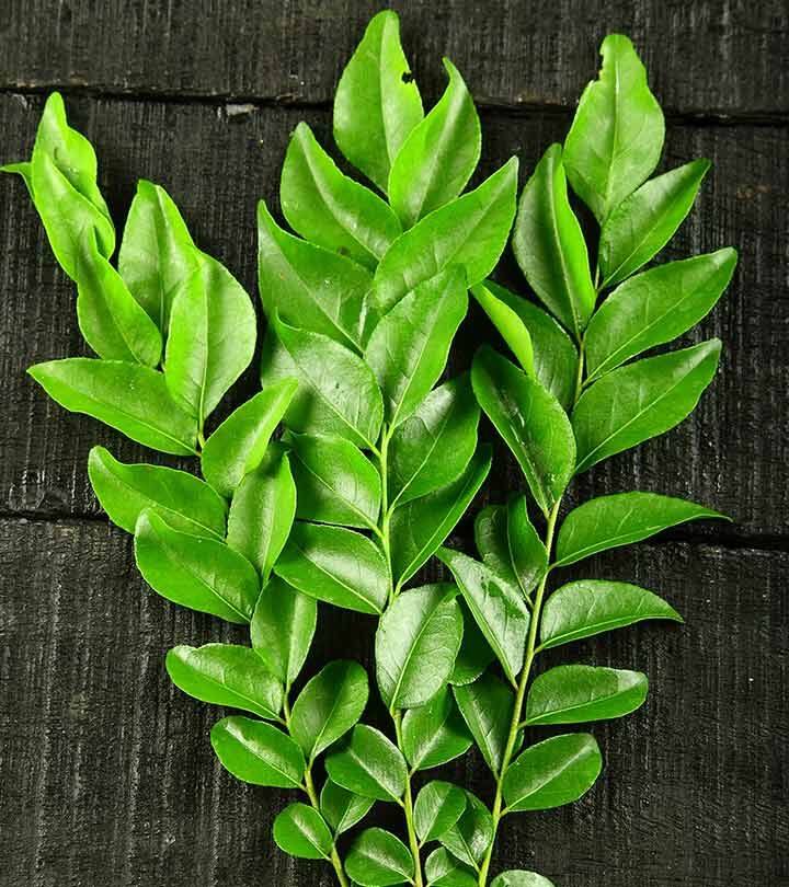 अब इसमें करी पत्ता, सूखी लाल मिर्च, हरी मिर्च डालें और एक मिनट तक भूनें.