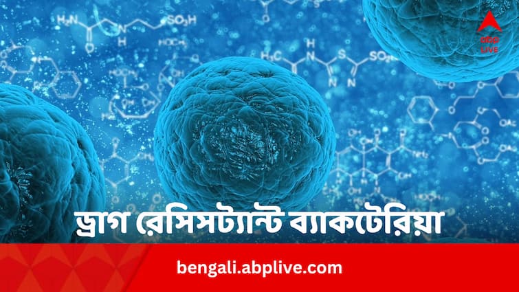 WHO Updates Drug Resistant Bacteria Names After 7 Years Know Who Are Mightier Bengali News