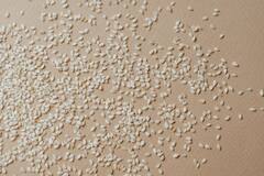 Skin Care : சருமம் இளமையாகவே இருக்கணுமா? இந்த டிப்ஸை ஃபாலோ பண்ணுங்க!