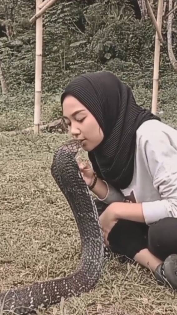 किंग कोबरा को बार बार किस करती नजर आई लड़की