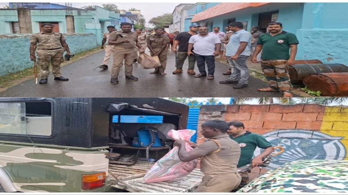 நெல்லையில் அதிர்ச்சி - மூவரை கொடூரமாக தாக்கிய மந்தி வகை குரங்குகள்