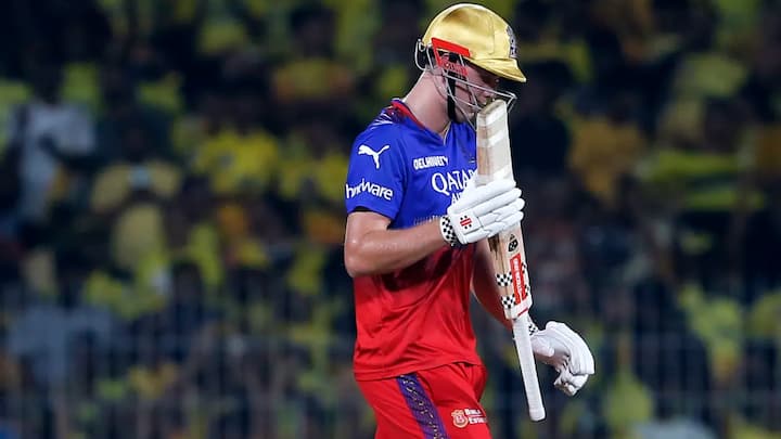 रॉयल चैलेंजर्स बैंगलुरू के ऑलराउंडर कैमरून ग्रीन की हाइट 198 सेंटीमीटर है. कैमरून ग्रीन रॉयल चैलेंजर्स बैंगलुरू के अलावा मुंबई इंडियंस का हिस्सा रह चुके हैं. (फोटो क्रेडिट- सोशल मीडिया)