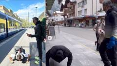 Milind Soman: செல்ஃபி கேட்ட ரசிகரிடம் “பையா” பட வில்லன் நடிகர் செய்த செயல்.. வைரலாகும் வீடியோ!