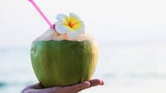 डायबिटीज मरीज क्या गर्मियों में पी सकते हैं नारियल पानी? जानिए इससे उनके शुगर लेवल पर क्या असर होगा