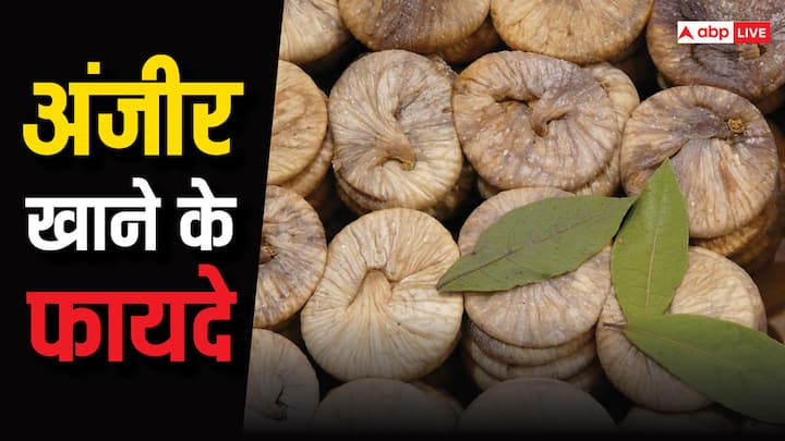 Figs Benefits: अंजीर का इस्तेमाल सदियों से लोग आयुर्वेदिक औषधियों के लिए करते आ रहे हैं. यह शरीर के लिए काफी फायदेमंद होता है साथ ही त्वचा और बालों के लिए भी यह लाभकारी है.