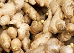 ઉનાળામાં આદુ ખાવું સ્વાસ્થ્ય માટે હાનિકારક, આ બીમારીઓનું વધી જાય છે જોખમ