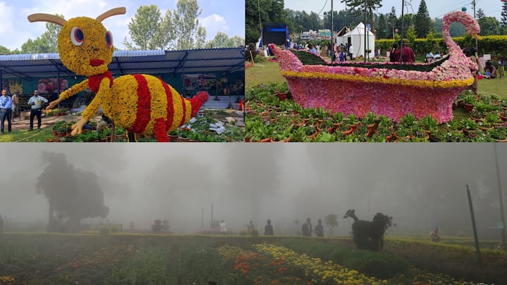 Yercaud Flower Show : பல்வேறு உள்ளூர் வண்ண மலர்களை கொண்ட 10 ஆயிரம் மலர் தொட்டிகள் இம்மலர்க்கண்காட்சியில் காட்சிப்படுத்தப்படவுள்ளது.