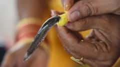 జూన్‌ 8న చేప ప్రసాదం పంపిణీ- ఏర్పాట్లు చేస్తున్న నిర్వాహకులు