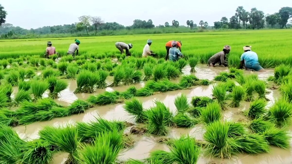 ABP NADU IMPACT: ஏபிபி நாடு செய்தி எதிரொலி; விவசாயிகளுக்கு  மும்முனை மின்சாரம் வழங்கிய மின்சார வாரியம்