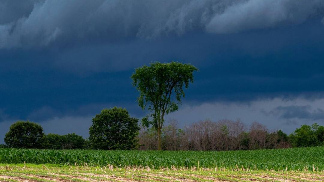 Monsoon Update Indian Meteorological Department has forecast a rapid advance of the southwest monsoon this year with favourable climatic conditions Monsoon Update : आनंदाच्या सरी पोहोचल्या काही तासांच्या अंतरावर; केरळसह राज्यात मान्सून वेळेवर दाखल होण्याचा अंदाज