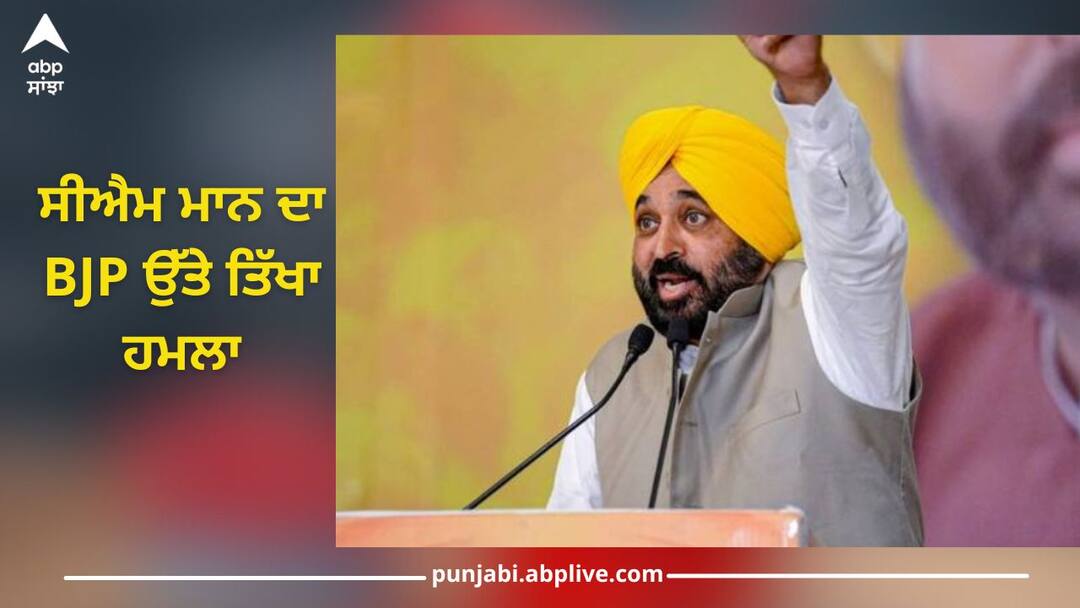 Lok Sabha Election 2024: bhagwant mann punjab cm attack on bjp in public meeting kaithal Punjab News: ਸੀਐਮ ਮਾਨ ਦਾ BJP ਉੱਤੇ ਤਿੱਖਾ ਹਮਲਾ, ਬੋਲੇ-'ਭਾਜਪਾ ਤਾਨਾਸ਼ਾਹੀ ਵੱਲ ਲਿਜਾਣਾ ਚਾਹੁੰਦੇ...'