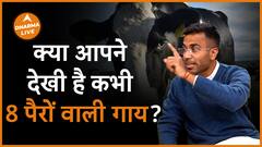 ऐसी देखती है 8 पैर वाली गाय Dharma Live