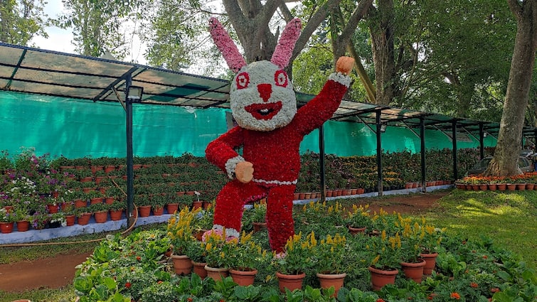 Yercaud Summer Festival and Flower Fair starts on 22nd May. Yercaud Flower Show: மே 22 ஆம் தேதி தொடங்கும் ஏற்காடு கோடை விழா மற்றும் மலர் கண்காட்சி!