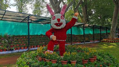 Yercaud Summer Festival and Flower Fair starts on 22nd May. Yercaud Flower Show: மே 22 ஆம் தேதி தொடங்கும் ஏற்காடு கோடை விழா மற்றும் மலர் கண்காட்சி!