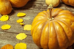 Pumpkin Side Effects: इन लोगों को भूलकर भी नहीं खाना चाहिए कद्दू, जानें इसके नुकसान