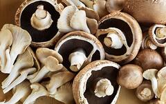 ਜੇਕਰ ਸਰੀਰ 'ਚ ਵਿਟਾਮਿਨ ਡੀ ਦੀ ਕਮੀ ਹੈ ਤਾਂ ਇਸ ਤਰ੍ਹਾਂ ਖਾਓ ਮਸ਼ਰੂਮ, ਹੋਣਗੇ ਹੈਰਾਨੀਜਨਕ ਫਾਇਦੇ