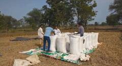 Bhandara News : भंडाऱ्यात आणखी एक धान खरेदी केंद्राचा घोटाळा उघड; अध्यक्षांसह 11 संचालकांवर गुन्हा दाखल