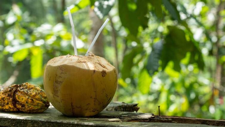 डायबिटीज मरीज क्या गर्मियों में पी सकते हैं नारियल पानी? जानिए इससे उनके शुगर लेवल पर क्या असर होगा