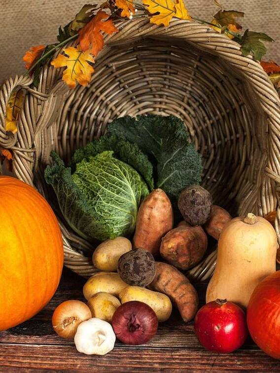 अपने किचन गार्डन में लगाए ये पौधे