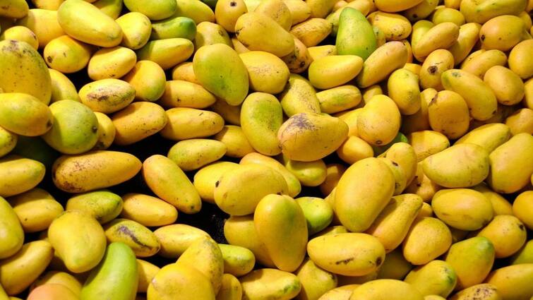 FSSAI Alerts Fruit Traders to Ensure Compliance with Prohibition of Calcium Carbide in Fruit Ripening process Fruit Ripening : பழங்களை பழுக்கவைக்க ரசாயனம்: அதிரடி தடை விதித்து எச்சரிக்கை விடுத்த FSSAI