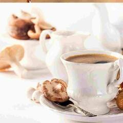 Mushroom Coffee : ਮਸ਼ਰੂਮ ਕੌਫੀ ਦੇ ਹਨ ਕਈ ਸਿਹਤਕ ਲਾਭ, ਜਾਣੋ ਇਸਨੂੰ ਬਣਾਉਣ ਦਾ ਢੰਗ