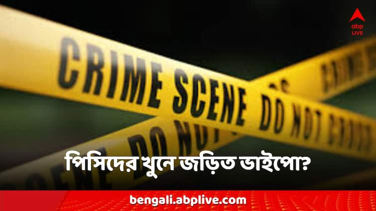 South 24 Pargana News Aunt killed by the nephew sensational information came out in the investigation South 24 Pargana News: ভাইপোর হাতে খুন পিসি, তদন্তে উঠে এল চাঞ্চল্যকর তথ্য!