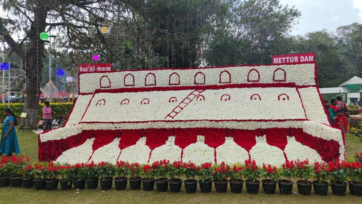 Yercaud Flower Show: மே 22 ஆம் தேதி தொடங்கும் ஏற்காடு கோடை விழா மற்றும் மலர் கண்காட்சி!