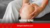 Joint Pain: বাতের ব্যথা থাকবে কাবুতে, পাতে থাক এই শাকগুলি