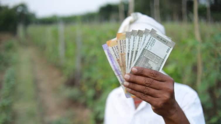 Andhra Pradesh Government Released Input Subsidy For Farmers After Polling Completed Input Subsidy For Farmers: రైతులకు ఏపీ సర్కార్ గుడ్ న్యూస్, ఖాతాల్లోకి ఇన్‌పుట్‌ సబ్సిడీ డబ్బు