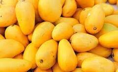 Identify Real Mango: ਸਾਵਧਾਨ! ਰਸਾਇਣਾਂ ਨਾਲ ਪਕਾਏ ਅੰਬਾਂ ਦੀ ਇੰਝ ਕਰੋ ਪਛਾਣ, ਨਹੀਂ ਤਾਂ ਭੁਗਤਣਾ ਪਏਗਾ ਭਾਰੀ ਨਤੀਜਾ