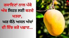Identify Real Mango: ਸਾਵਧਾਨ! ਰਸਾਇਣਾਂ ਨਾਲ ਪਕਾਏ ਅੰਬਾਂ ਦੀ ਇੰਝ ਕਰੋ ਪਛਾਣ, ਨਹੀਂ ਤਾਂ ਭੁਗਤਣਾ ਪਏਗਾ ਭਾਰੀ ਨਤੀਜਾ
