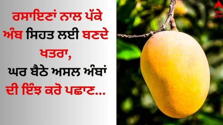 Identify Real Mango: ਅੰਬ ਨੂੰ ਫਲਾਂ ਦਾ ਰਾਜਾ ਕਿਹਾ ਜਾਂਦਾ ਹੈ, ਇਹ ਇੱਕ ਅਜਿਹਾ ਫਲ ਹੈ ਜੋ ਗਰਮੀਆਂ ਦੇ ਮੌਸਮ ਵਿੱਚ ਆਉਂਦੇ ਹਨ। ਇਸ ਦਾ ਲੋਕ ਬੇਸਬਰੀ ਨਾਲ ਇੰਤਜ਼ਾਰ ਕਰਦੇ ਹਨ।