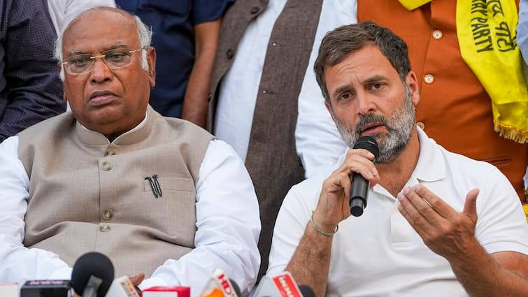 Is Rahul Gandhi I.N.D.I.A's PM Face? Congress Chief Kharge Says 'No Dispute, But...' — WATCH