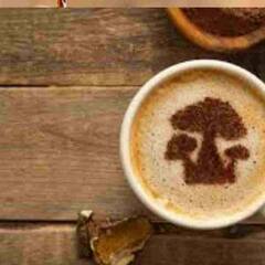 Mushroom Coffee : ਮਸ਼ਰੂਮ ਕੌਫੀ ਦੇ ਹਨ ਕਈ ਸਿਹਤਕ ਲਾਭ, ਜਾਣੋ ਇਸਨੂੰ ਬਣਾਉਣ ਦਾ ਢੰਗ