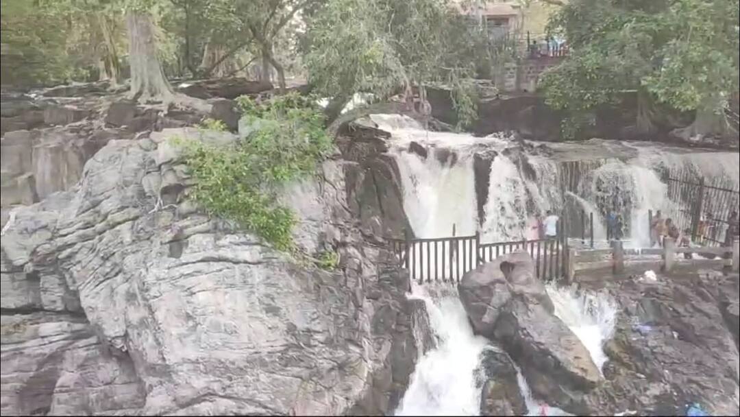 Cauvery river: குறைந்த மழை... காவிரி ஆற்றில் நீர்வரத்து 1500 கன அடியாக சரிவு