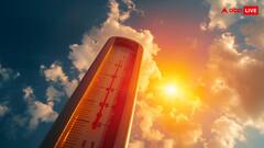 जानलेवा है आम खाना? वायरल पोस्ट का दावा एथिलीन से पकाए जा रहे हैं आम