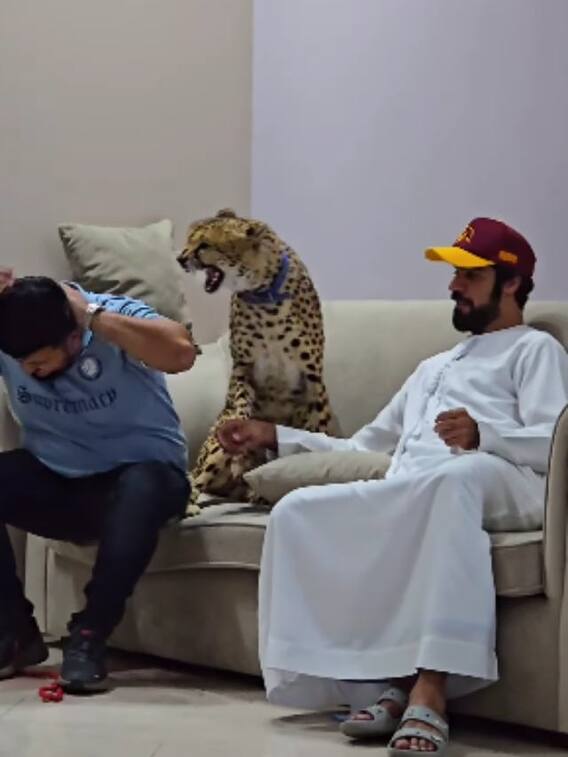 पाकिस्तानी व्यक्ति पर पालतू चीते ने किया हमला, देखें वीडियो