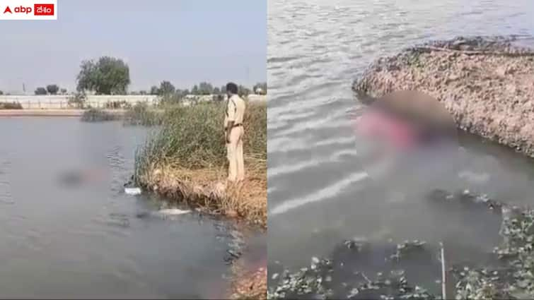 three transgenders dead bodies found at the pond in kurnool Kurnool News: ముగ్గురు ట్రాన్స్ జెండర్ల అనుమానాస్పద మృతి - కర్నూలు జిల్లాలో ఘటన