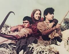 Hindi Cinema की वो 8 फिल्में जिन्होंने Box Office पर सालों किया राज, अब OTT पर देखी जाती हैं कई-कई बार